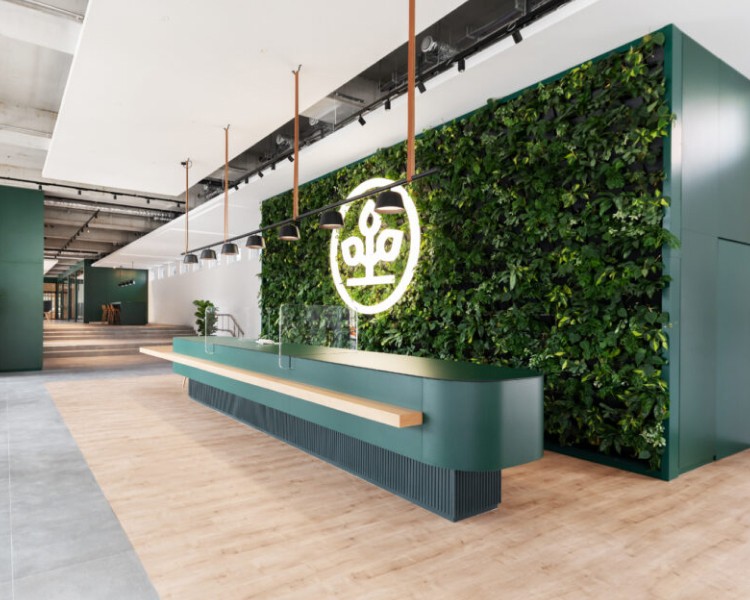 A modern green reception area